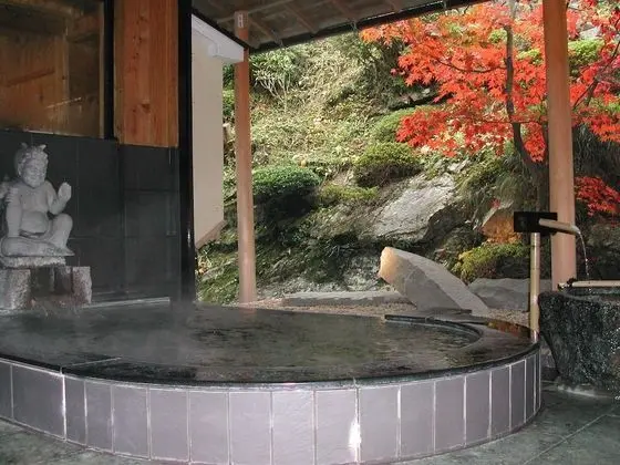 Yado Hanaya Tokubei - Dorogawa-onsen Hot Spring - Spa