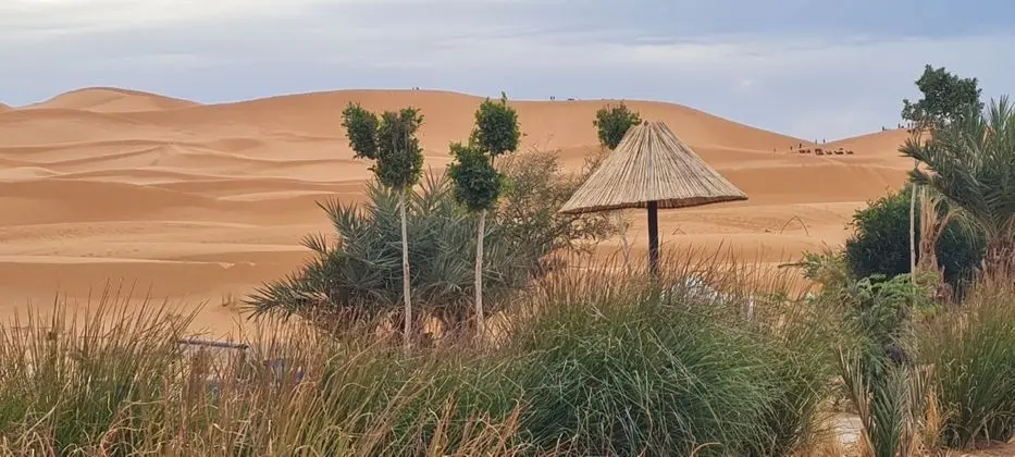 YAKOUT MERZOUGA LUXURY CAMP - Dış Mekan