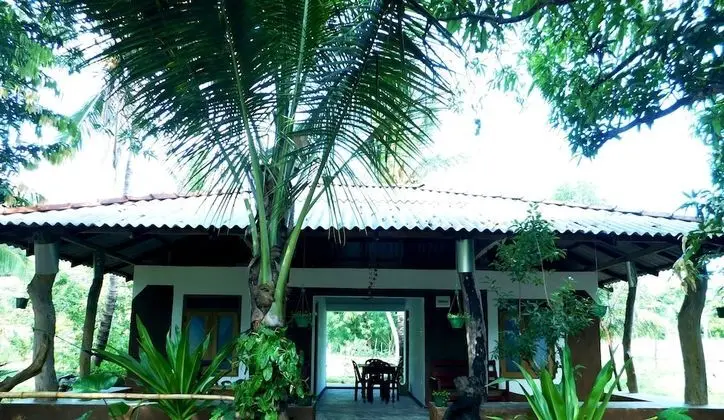 Yala Avian Eye Safari