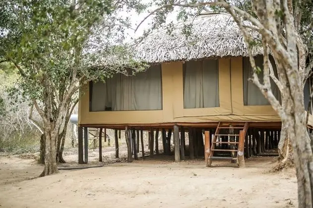 Yala Safari Camping - All Inclusive - Dış Mekan