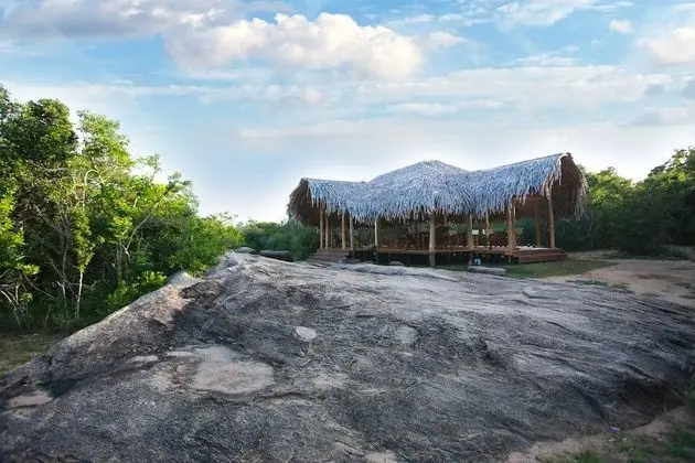 Yala safari and Relax camping
