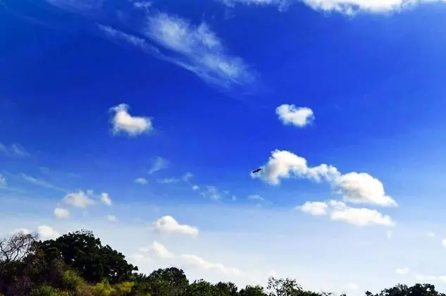 Yala wild corridor camp