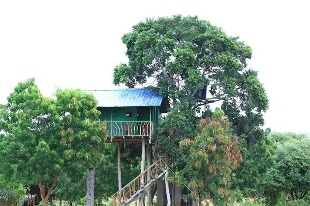 Yala Wilderness Safari Camp