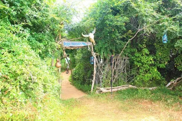 Yala Wilderness Safari Camp - Lobi