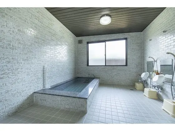 Yamanakako Ryokan RYOZAN - Spa