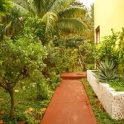 Yamil House