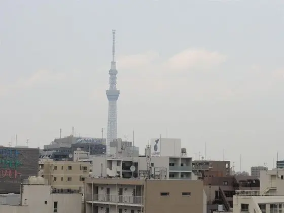 Hotel Yanagibashi