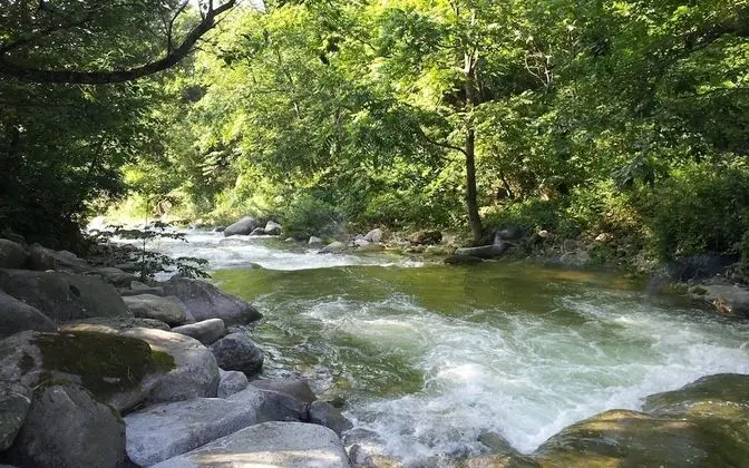 Yangyang Galcheon Family Resort - Misafir Tesisleri ve Hizmetleri