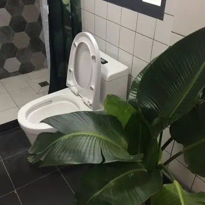 Yangzhou Sixi Courtyard Guesthouse - Banyo Özellikleri