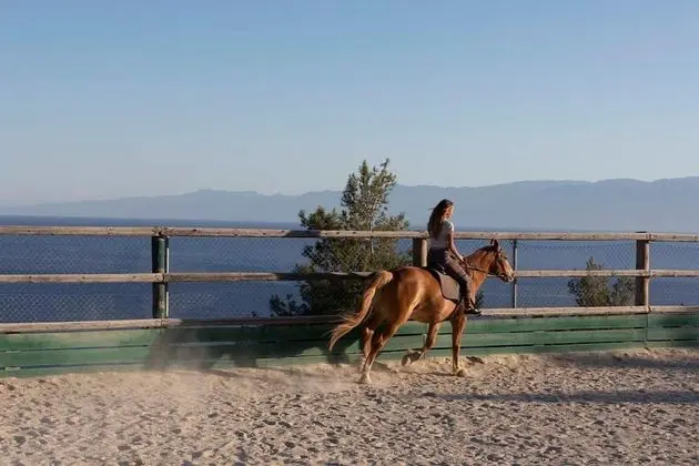 Yayaki Spetses - Dış Mekan
