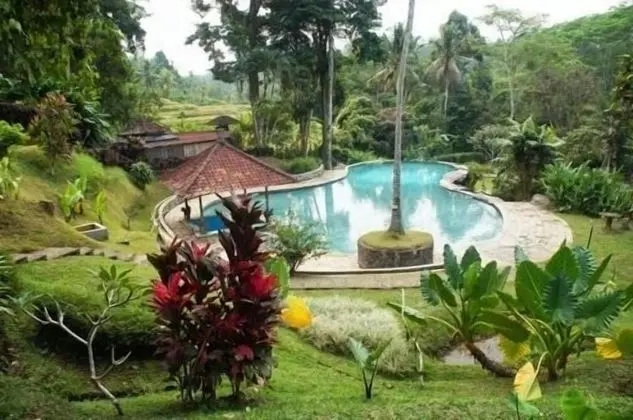 Yeh Panes Bali - Havuz