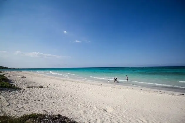 Yellow Canary Beach Villa - Plaj