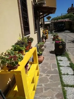 The Yellow House - Dış Mekan