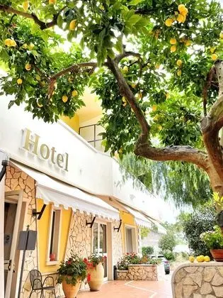 Yellow Park Hotel - Öne Çıkan Resim