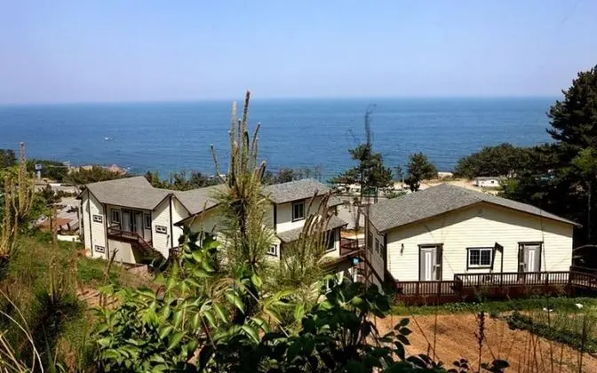 Yeongdeok Hill Pine Pension