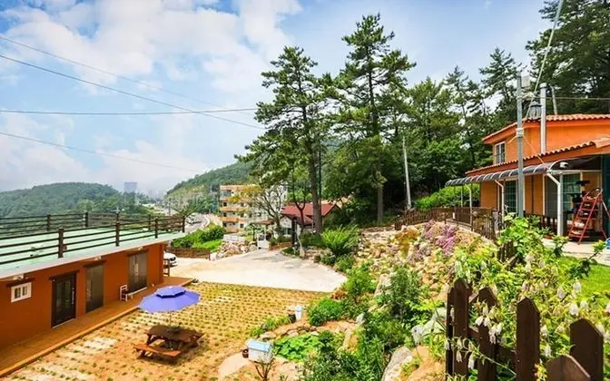 Yeosu Banditbul Hwangto Pension - Misafir Tesisleri ve Hizmetleri
