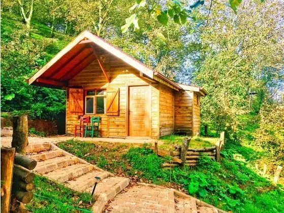Yesil Dus Vadisi Bungalov - Genel