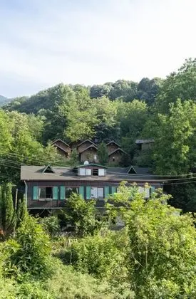 Yesil Dus Vadisi Bungalov - Genel