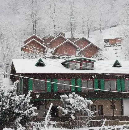 Yesil Dus Vadisi Bungalov - Genel