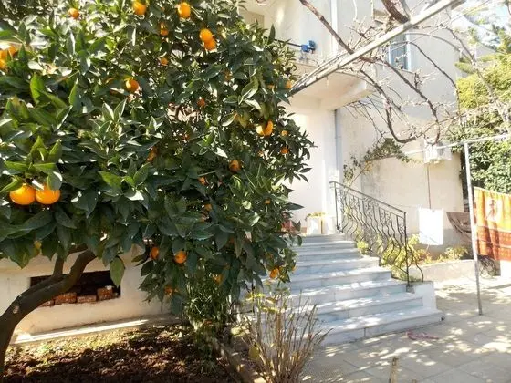 Ylli Apartments Saranda - Dış Mekan