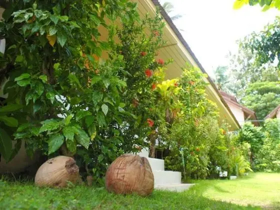 Yoghurt Home - Dış Mekan