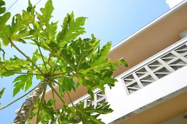 Yomitanson Resort House - Dış Mekan