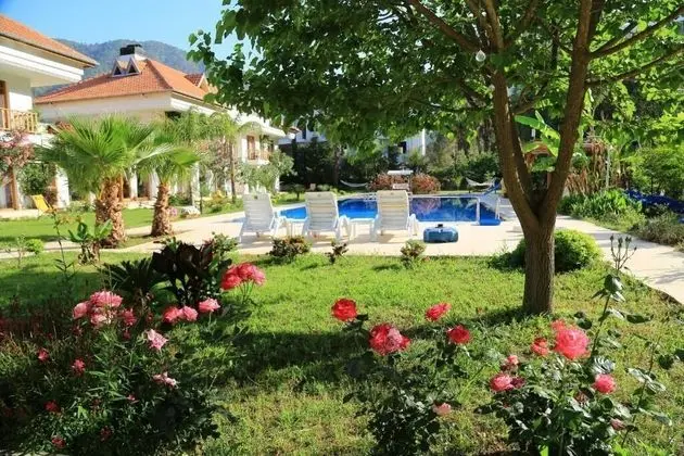 Yonca Butik Hotel - Havuz