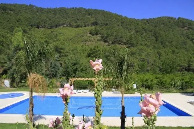Yonca Butik Hotel - Havuz