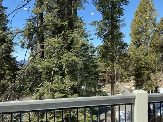 Yosemite's Pine Cove - Dış Mekan