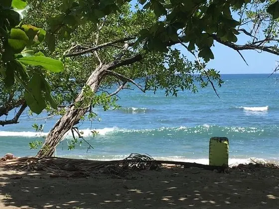 You Imagine Costa Rica Our Location Being on the Beach is What You Imagine