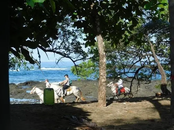 You Imagine Costa Rica Our Location Being on the Beach is What You Imagine - Dış Mekan