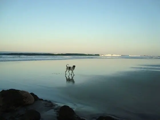 You Imagine Costa Rica Our Location Being on the Beach is What You Imagine - Plaj