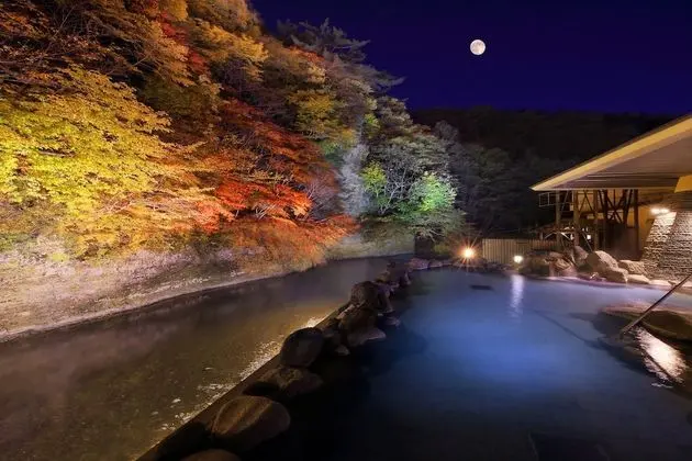 Yu No Mori Hotel Shidotaira - Spa