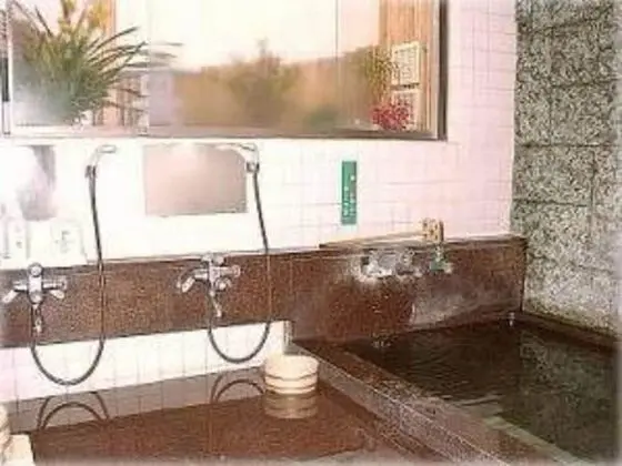 Yugawara Onsen Ryokan Greenso - Havuz
