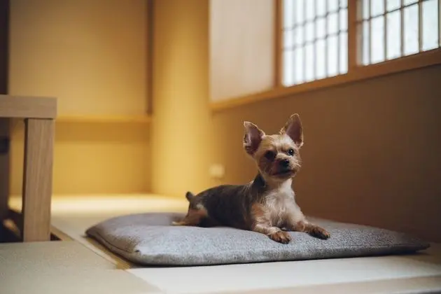 Yuhi House Kyoto Dog Friendly - Oda