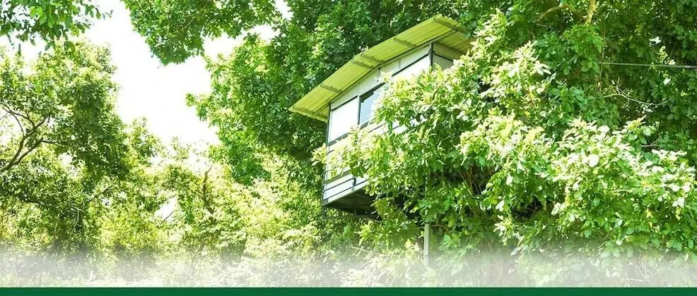 Yuhibuhi Forest Resort