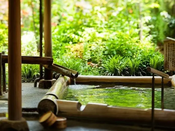 Yumoto Konpira Onsen Hananoyu Koubaitei - Spa