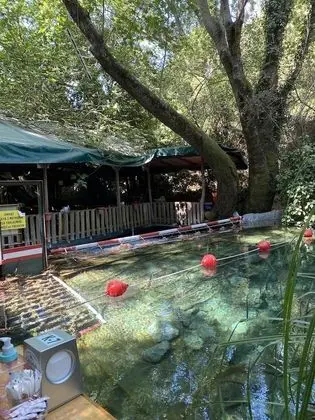 Yuvarlakcay Cinar Butik Otel - Dış Mekan