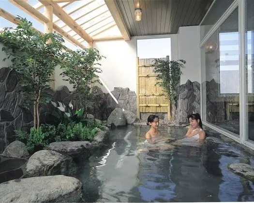 Hotel Yuzawa Yuzawa