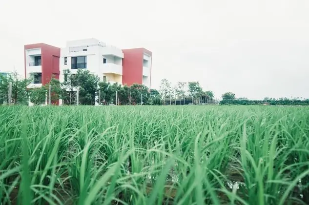 Zai Yan-Yan B&B