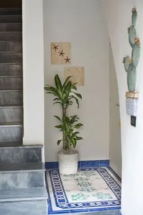 zammu bed and breakfast - Lobi