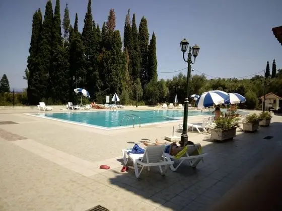 Zante Dolphin - Yeme / İçme