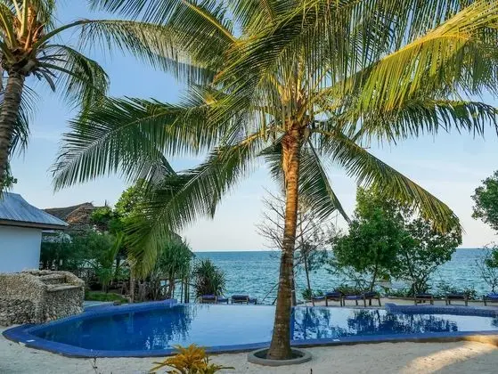 Zanzibar Beach Lodge - Havuz