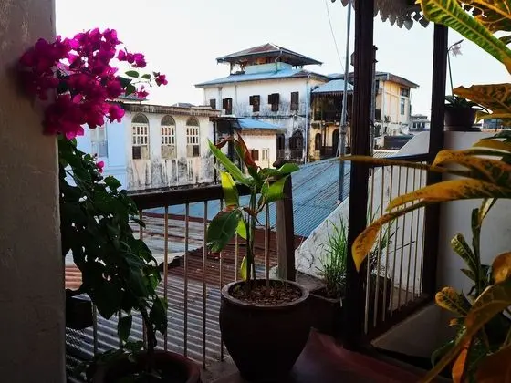 Zanzibar Coffee House - Dış Mekan