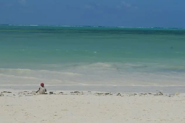 Zanzibar Dream Lodge - Havuz