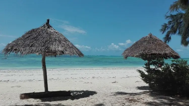 Zanzibar Dream Lodge - Plaj
