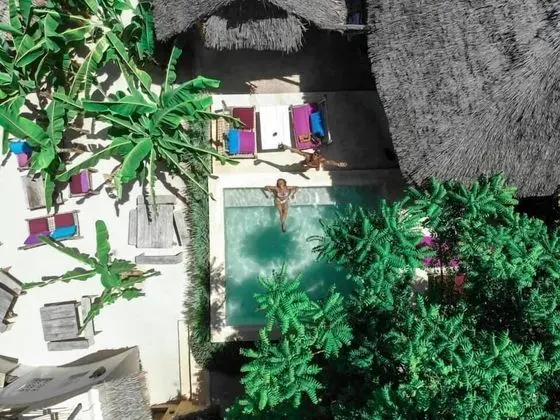 Zanzistar Lodge - Havuz