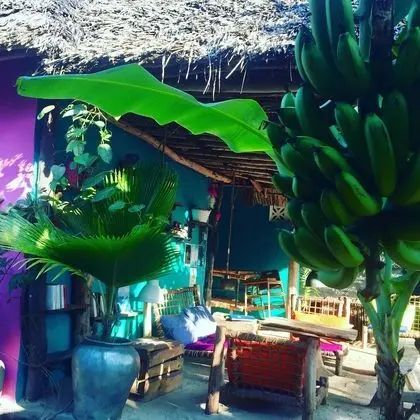 Zanzistar Lodge - Lobi