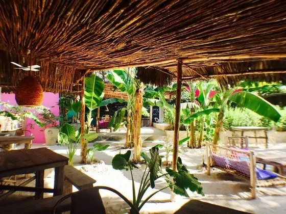 Zanzistar Lodge - Yerinde Yemek