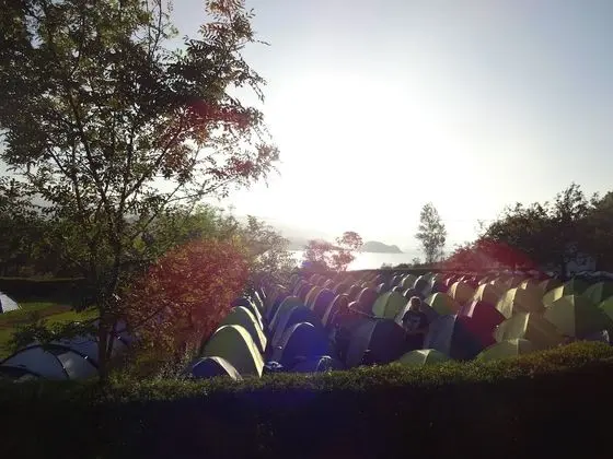 Zarautz Beachside Surf Camp